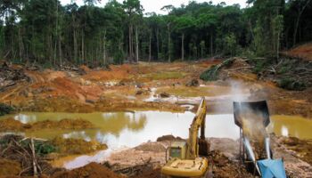 Sichtbare Zerstörung des Regenwalds für die Gewinnung metallischer Rohstoffe