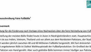 Link zur Musterausschreibung Faire Bälle