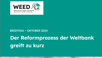 2024-10 Briefing Weltbankreform