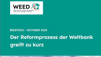 Link zum Briefing Weltbankreform