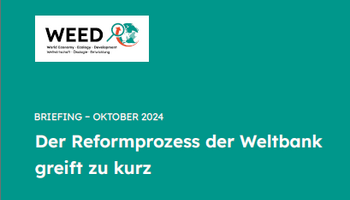 Link zum Briefing Weltbankreform