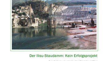 Link zum Hintergrundpapier Ilisustaudamm - Kein Erfolgsprojekt