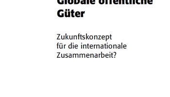 Link zum Arbeitspapier Globale öffentliche Güter