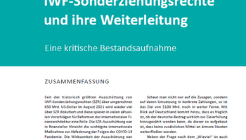 Link zu IWF-Sonderziehungsrechte - Eine kritische Bestandsaufnahme