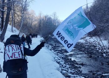 WEF-Protestzug durch beschneite Schweizer Berge