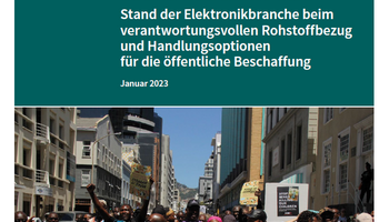 Link to the short study Raw materials in the focus of IT procurement