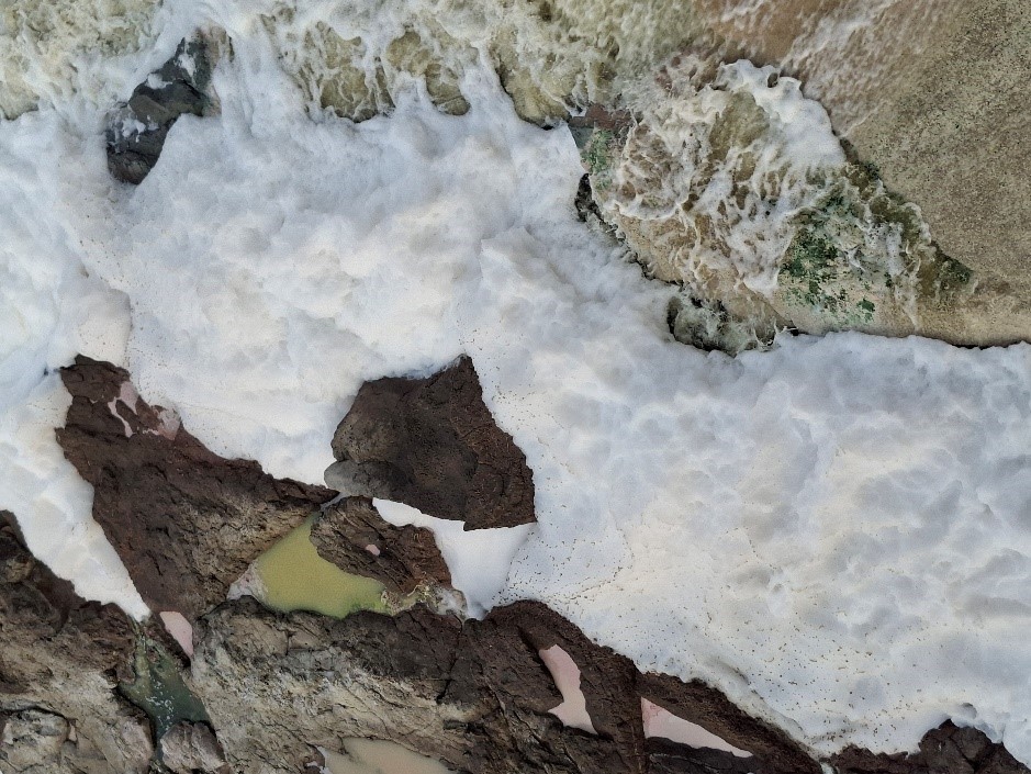 2 Gelblich-graue bis grünlich-braune Färbung, extreme Schaumbildung. Rio Santiago bei Juanacatlán, Jalisco, Mexiko